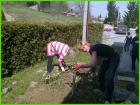 Slika016