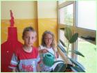 Slika001