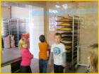 Slika005