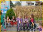 Slika009