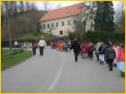 Slika017