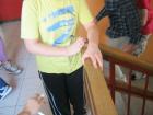 Slika012