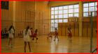 Slika038