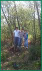 Slika045