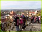 Slika037