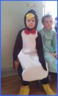 Slika029