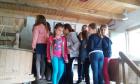 Slika013