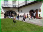 Slika043