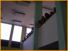 Cesticki Govor001