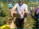 Slika017