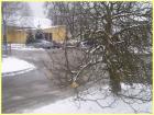 Hrana Za Pticice014