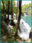 SLIKA038