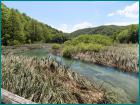 SLIKA040