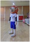 Slika0031