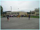 SPORTSKI DAN014