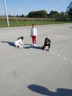 IMG_20211005_094814