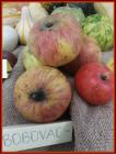 IMG_20211021_124142