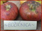 IMG_20211021_124154