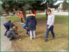 Slika0033