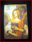 ANELI ~STURM~007