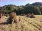IMG_20231011_104550