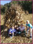 IMG_20231011_104729