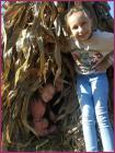 IMG_20231011_104828