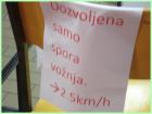 Novigradsko Proljece 2011037