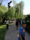 IMG_20180427_151500