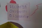 IMAG0254