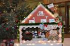 DSC_0480_800x533