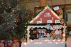 DSC_0494_800x533