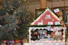 DSC_0495_800x533