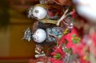 DSC_0501_800x533