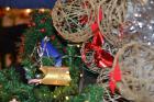 DSC_0550_800x533
