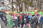 DSC_0275_800x531