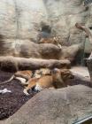 IMG-20240424-WA0016