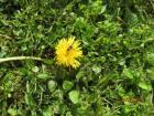 IMG_5212a