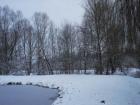 DSC03706