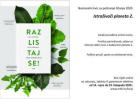 Nacionalni Kviz
