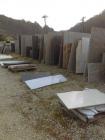 IMAG0654