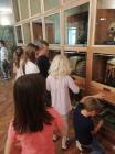 IMG_20190524_102431