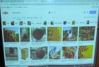 IMG-20211207-WA0002