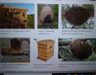 IMG-20211207-WA0017