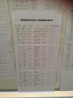 IMG-20220505-WA0005