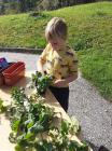 IMG-60913365db093158814d28f0145944c5-V