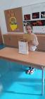 PS_Putkovec_Lektira_iz_vrecice_012