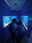 IMG-4f8b0c97a4117d4a053fcb69ed06e51d-V