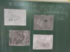 IMG_20211117_111551