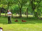 IMG-7414e455c1509411d462657a57901148-V